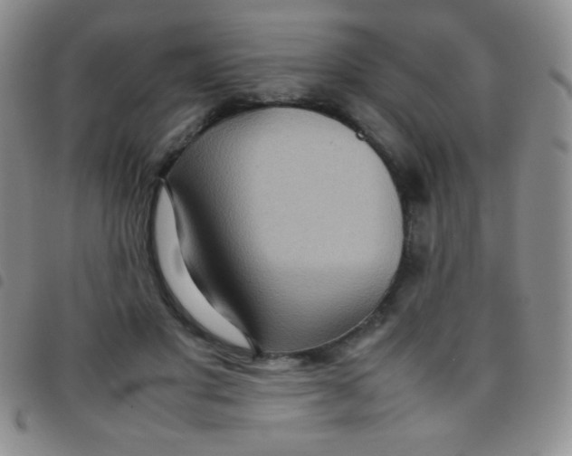 X0000097480501200803141938