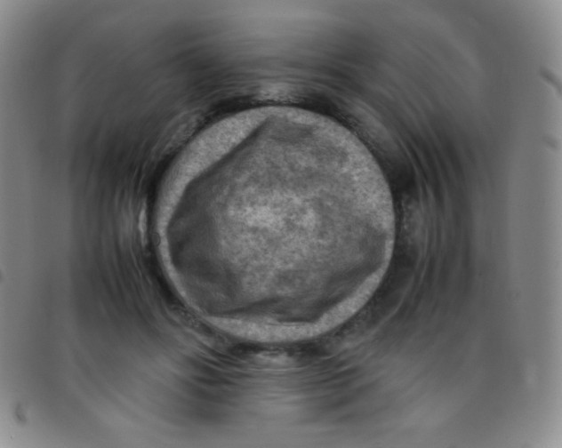 X0000097480502200803141938