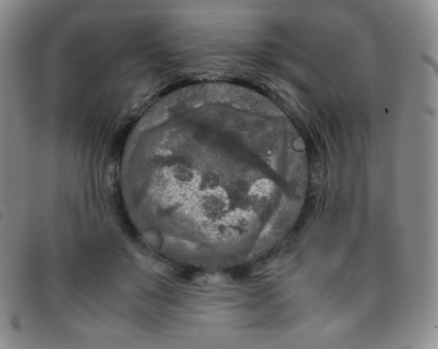 X0000097480503200803141938