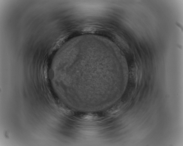 X0000097480504200803141938