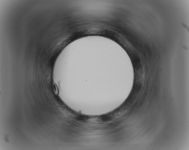 X0000097480505200803141938