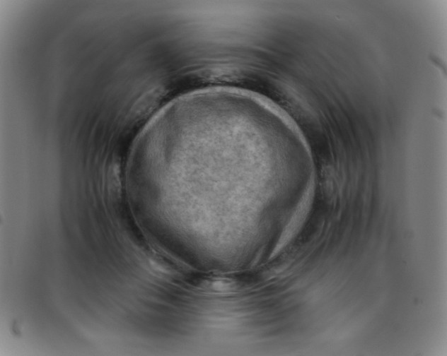 X0000097480506200803141938