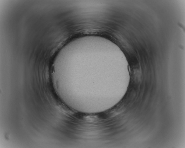 X0000097480508200803141938