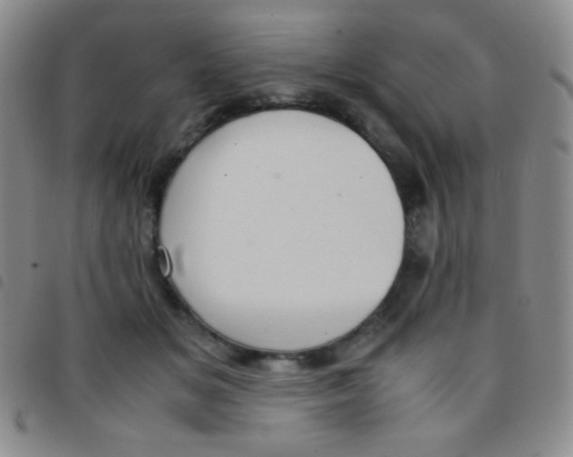 X0000097480509200803141938