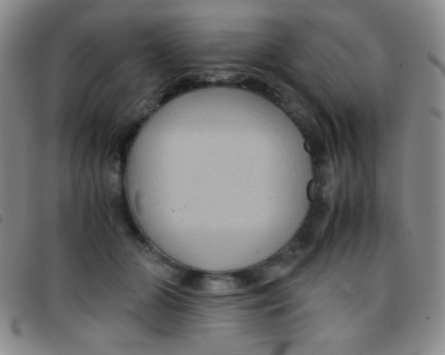 X0000097480510200803141938