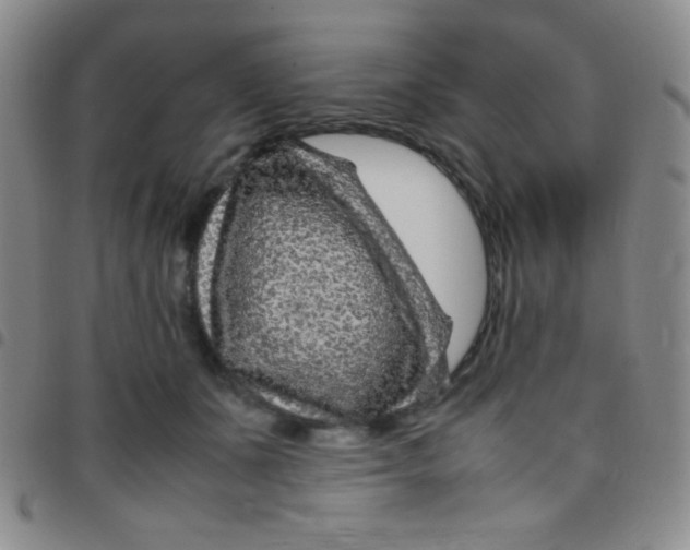 X0000097480511200803141938