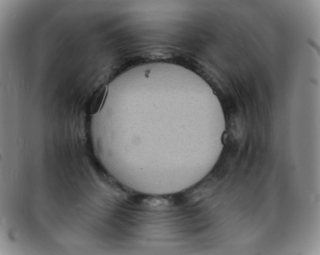 X0000097480512200803141938