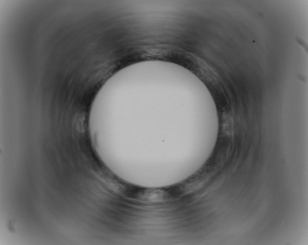 X0000097480514200803141937