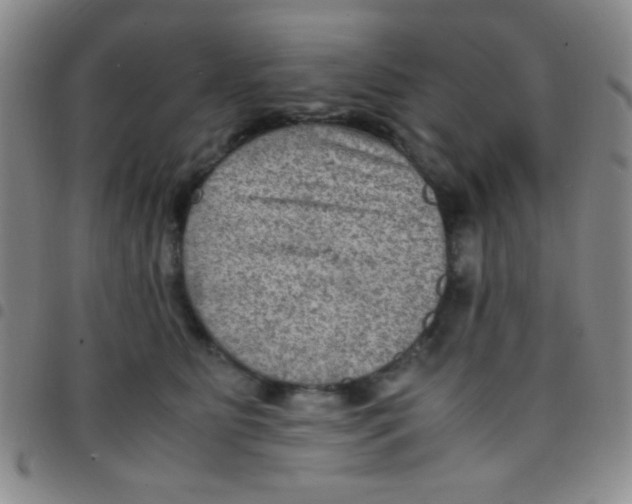 X0000097480515200803141937