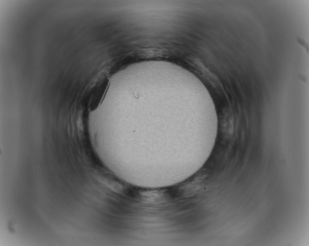 X0000097480516200803141937