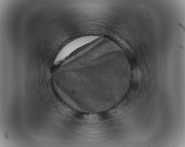 X0000097480517200803141937