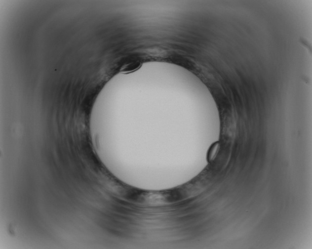 X0000097480518200803141937