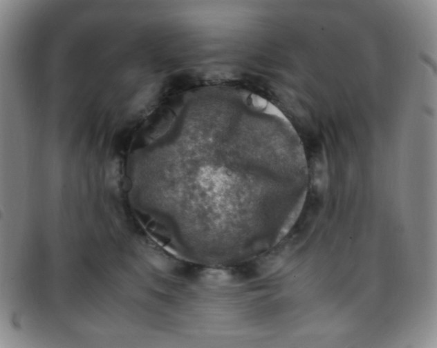 X0000097480519200803141937