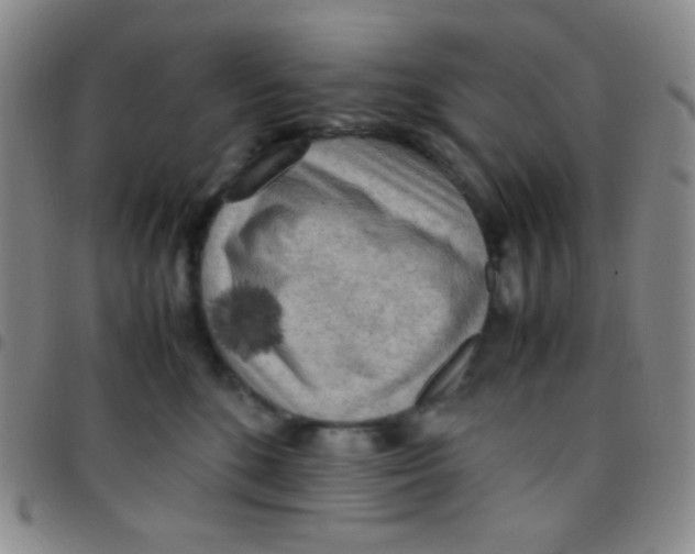 X0000097480520200803141937