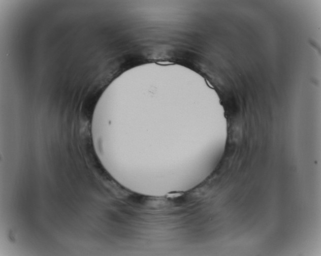 X0000097480521200803141937