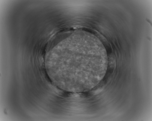 X0000097480523200803141937