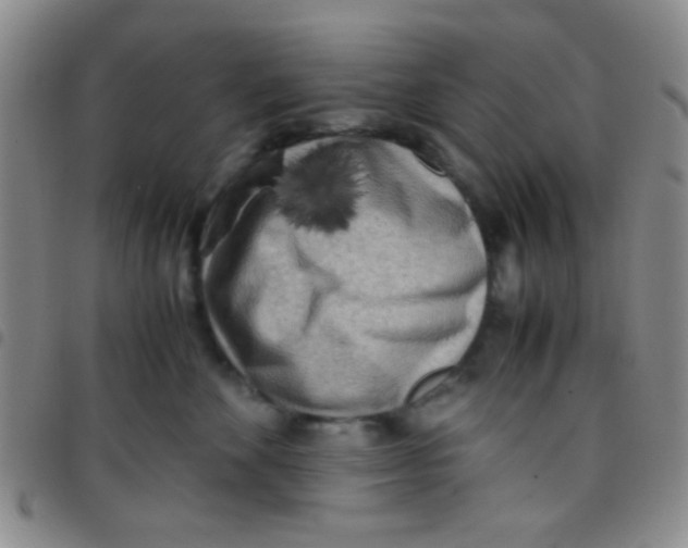 X0000097480524200803141937