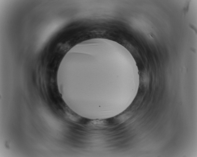 X0000097480526200803141937