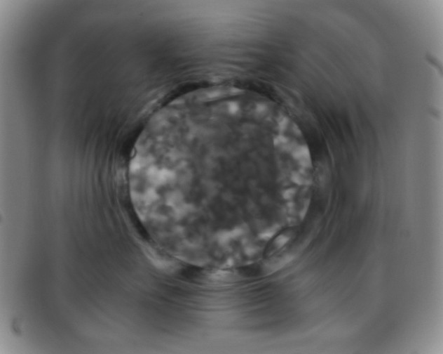 X0000097480527200803141937