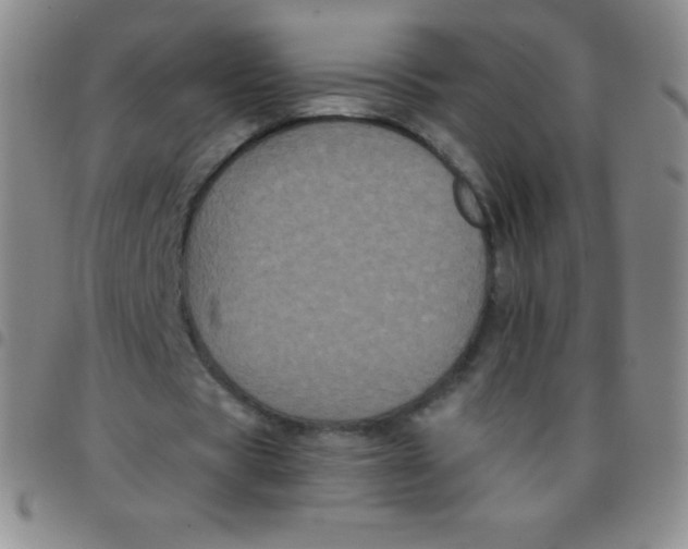 X0000097480529200803141937