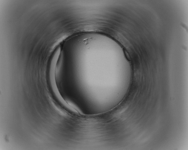 X0000097480530200803141937