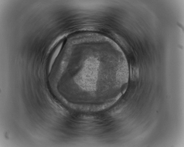 X0000097480531200803141937