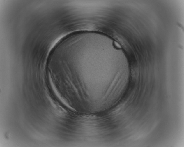 X0000097480532200803141937