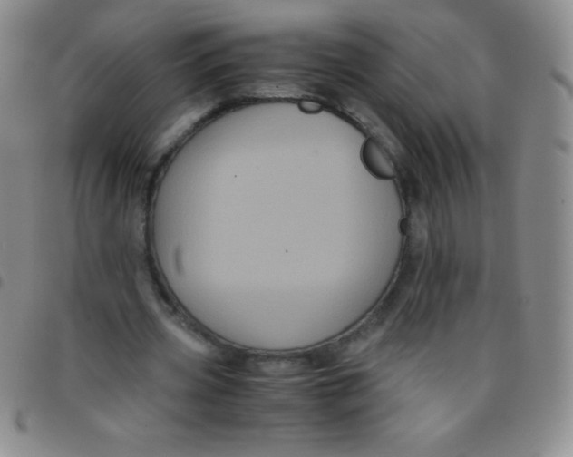 X0000097480533200803141937