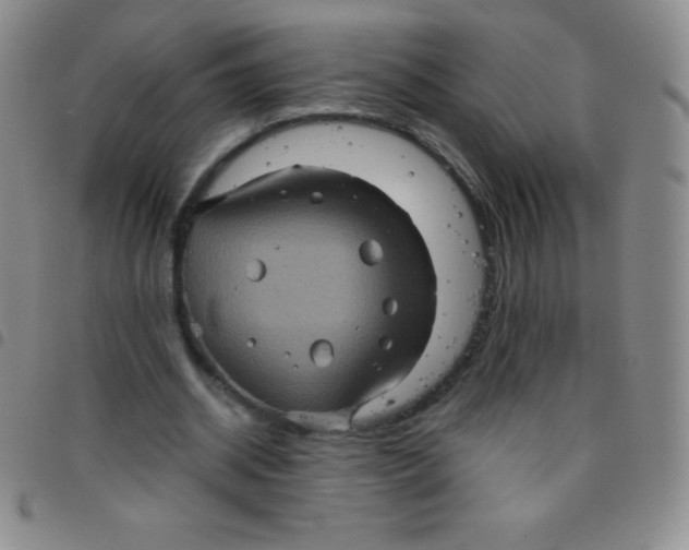 X0000097480534200803141937