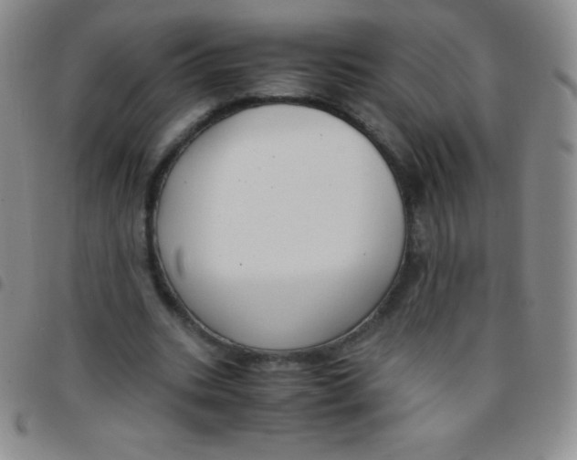 X0000097480535200803141937