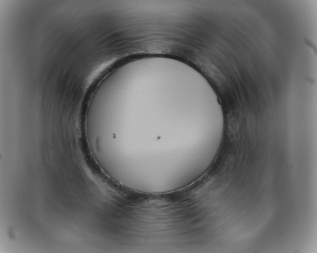 X0000097480536200803141937