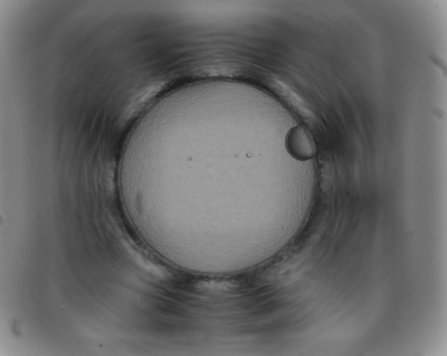 X0000097480537200803141937