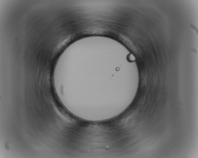 X0000097480538200803141937