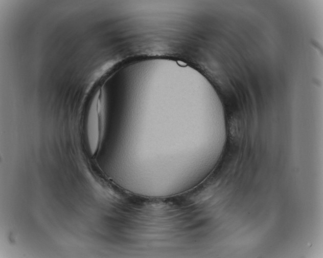 X0000097480540200803141937