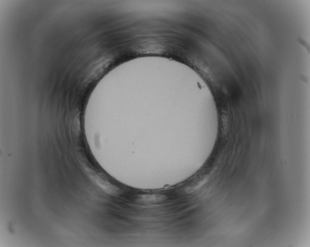 X0000097480541200803141937