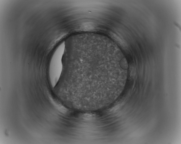 X0000097480542200803141937