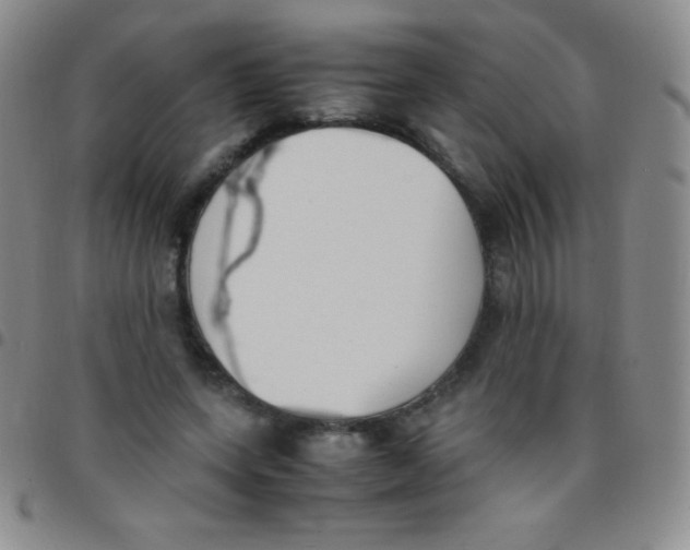 X0000097480543200803141937