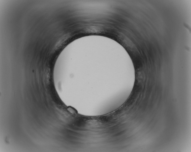 X0000097480544200803141937