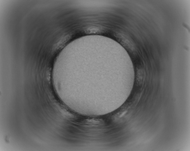 X0000097480545200803141937