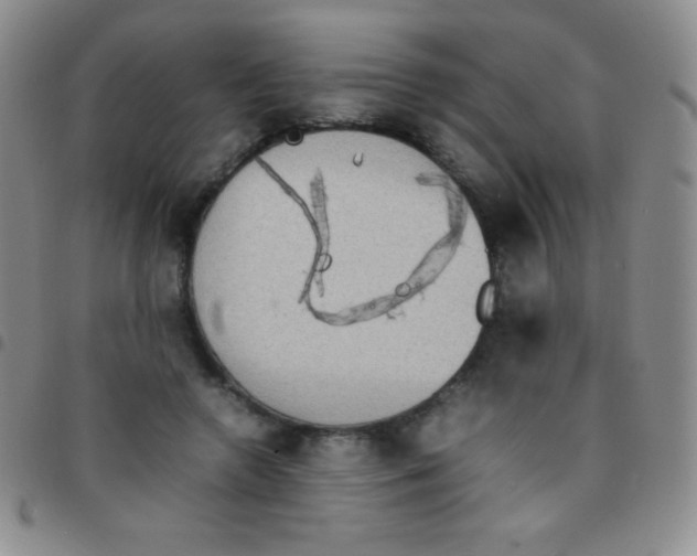 X0000097480546200803141937