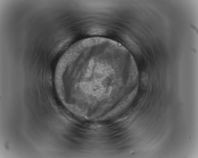 X0000097480547200803141937