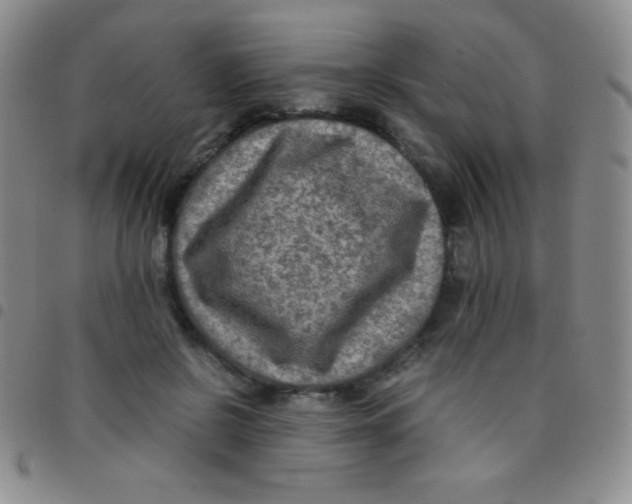 X0000097480550200803141937