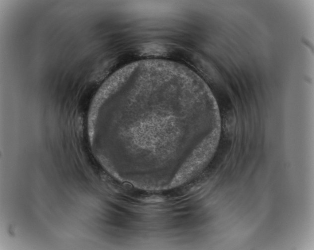 X0000097480551200803141937