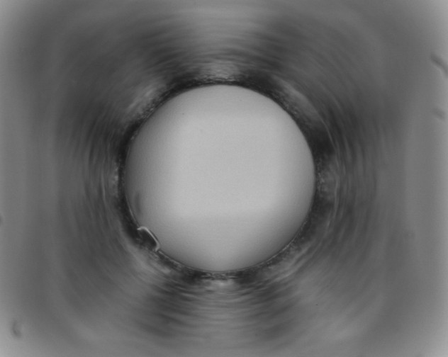 X0000097480552200803141937