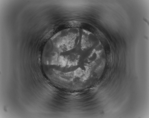 X0000097480553200803141937