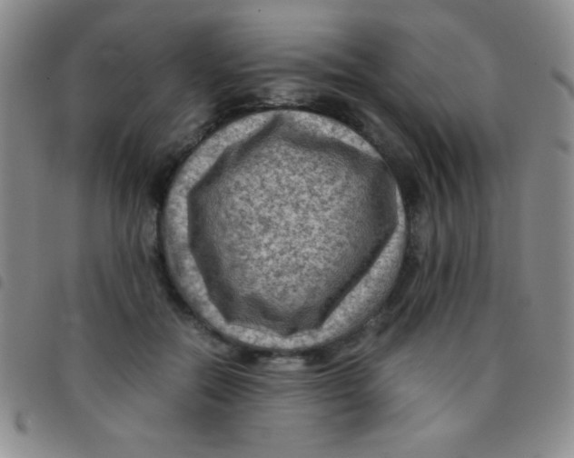 X0000097480554200803141937