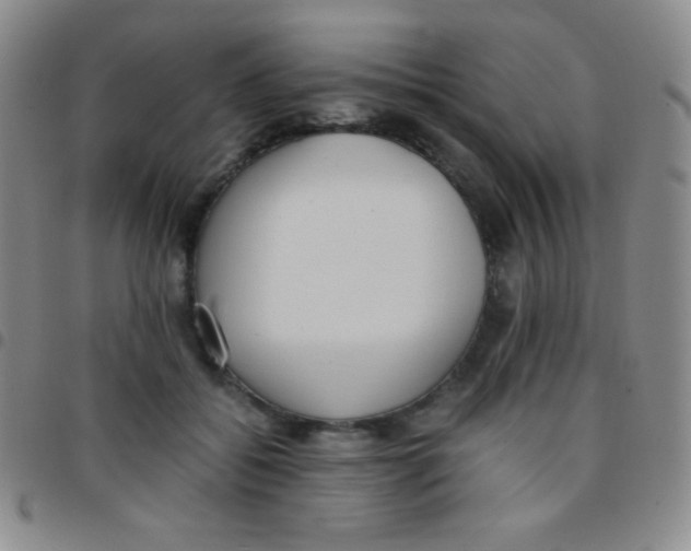 X0000097480556200803141937