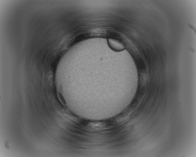 X0000097480557200803141937