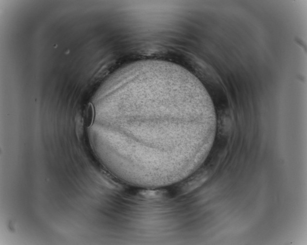 X0000097480558200803141937