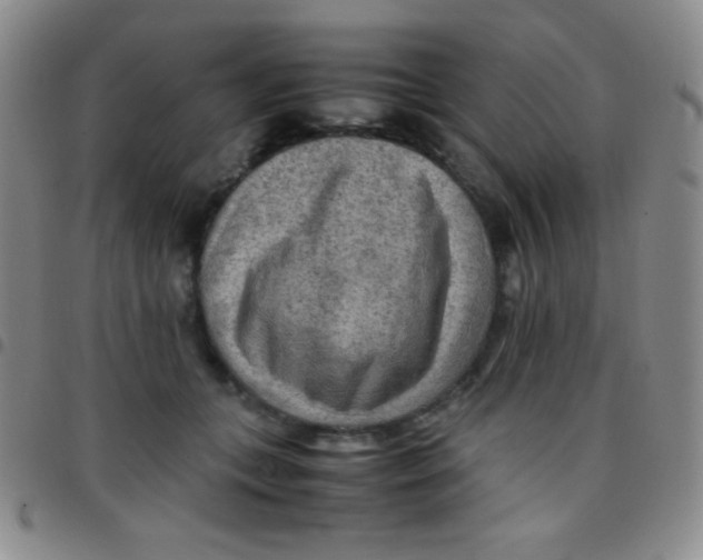 X0000097480559200803141937